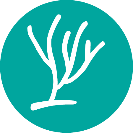 L'Envolée - Orientation